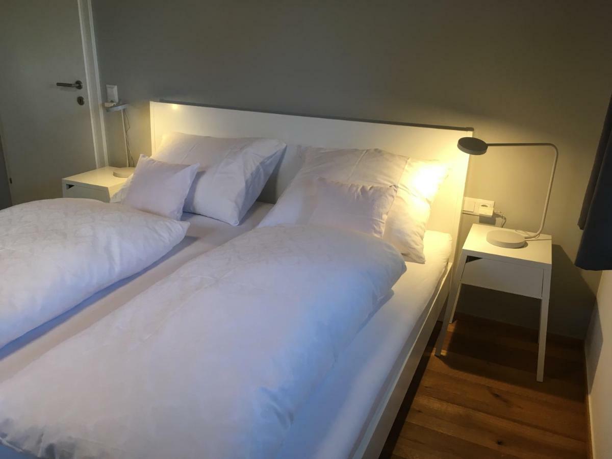 Wohnung In Zentraler Lage Im Rheintal Гётцис Экстерьер фото